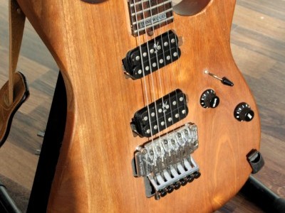 Washburn Mercury Series Tonewood